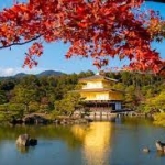 Bí Quyết Luyện Thi JLPT Hiệu Quả Từ N5 Đến N1