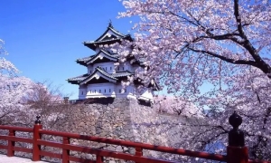 Cách Học Ngữ Pháp Tiếng Nhật Dễ Hiểu Và Ghi Nhớ Lâu