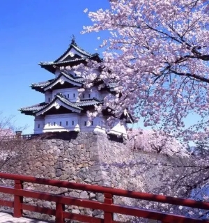 Cách Học Ngữ Pháp Tiếng Nhật Dễ Hiểu Và Ghi Nhớ Lâu