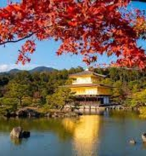 Bí Quyết Luyện Thi JLPT Hiệu Quả Từ N5 Đến N1