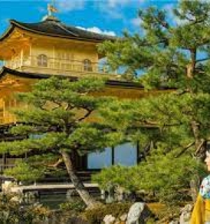 Nhật Bản Tăng Cường Hỗ Trợ Du Học Sinh 2025 – Học Tập & Cuộc Sống