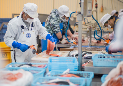 Tuyển nữ làm việc tại Nagasaki – Chế biến thủy sản, thu nhập ổn định, tăng ca nhiều