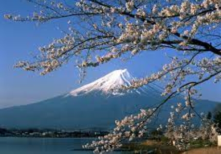 Ngành Học Mới Tại Nhật Bản 2025 – Xu Hướng Thu Hút Du Học Sinh